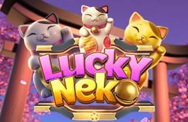 lucky neko